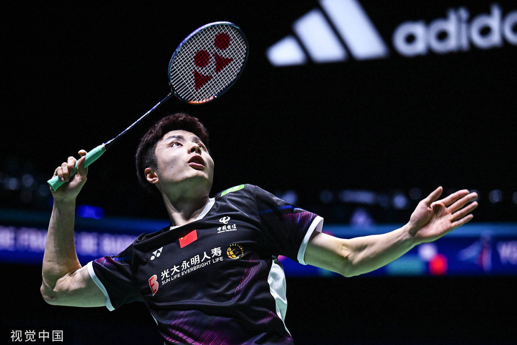 森林狼与活 森林狼与活