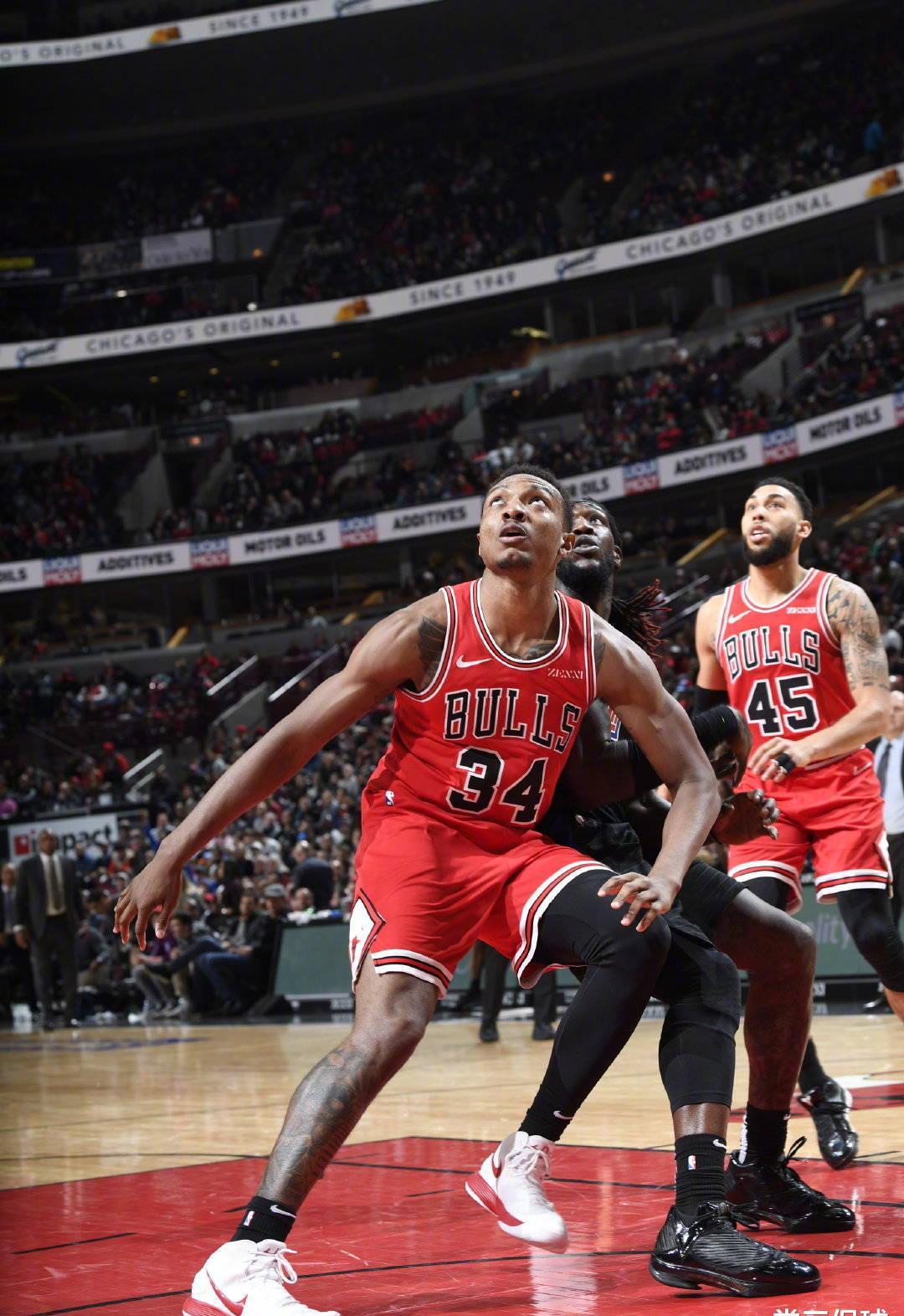 他们大力培 他们大力培