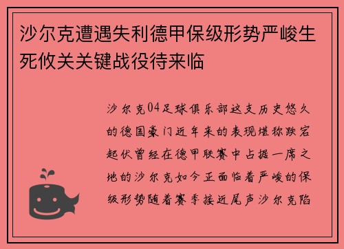 沙尔克遭遇失利德甲保级形势严峻生死攸关关键战役待来临